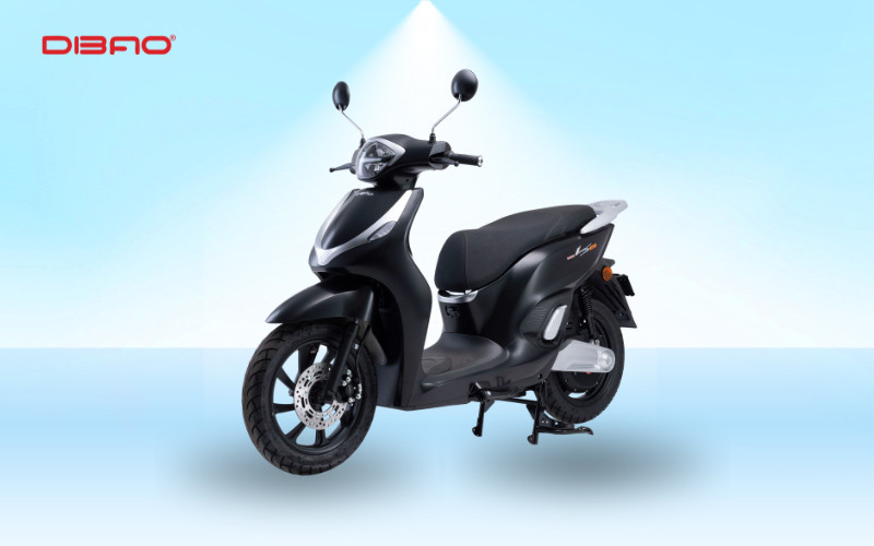 xe điện dibao ls007